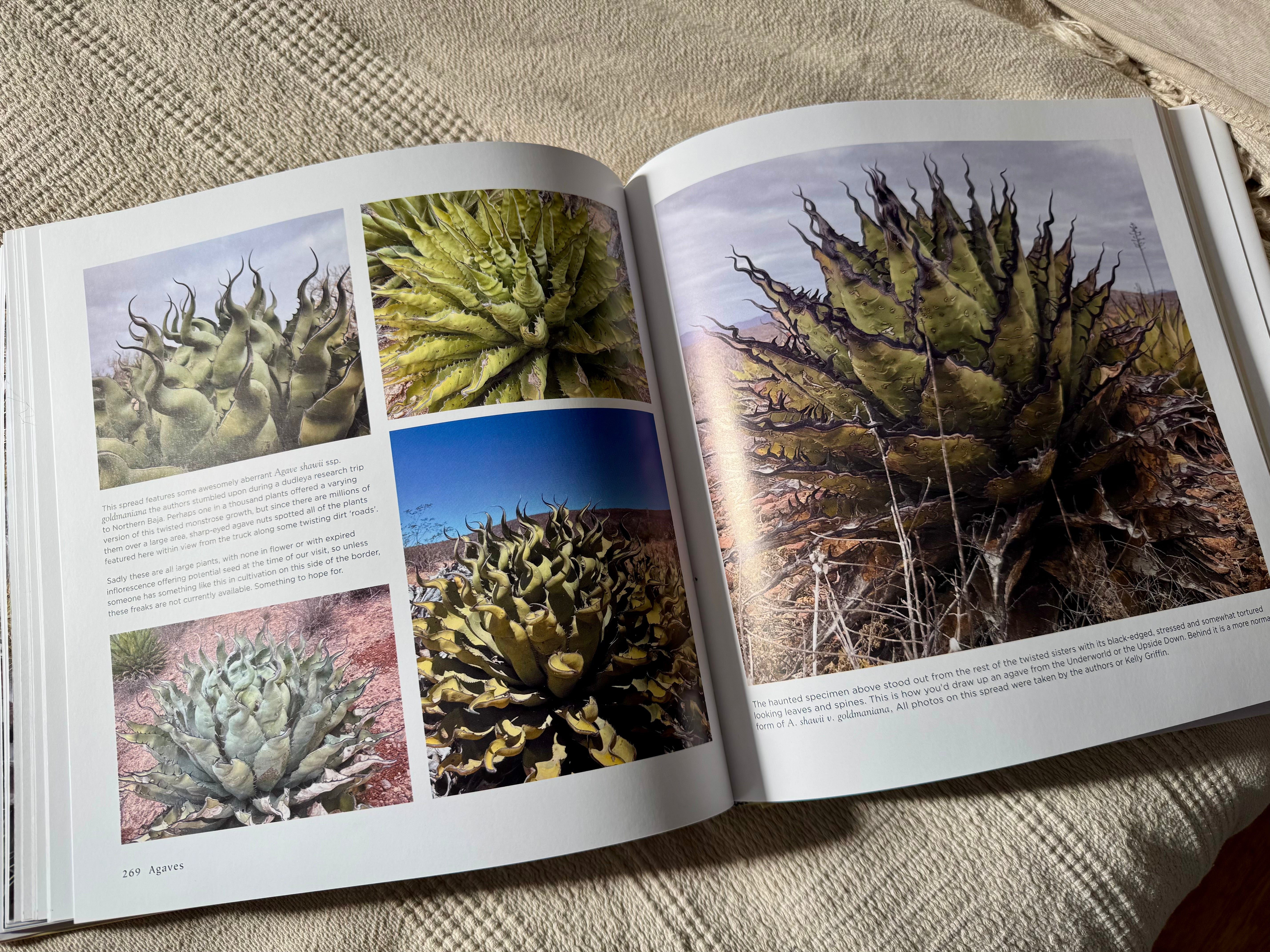 洋書 Agaves: Species, Cultivars & Hybrids Agaves, species, cultivars, & hybrids 2nd Ed. – Hidden Agave