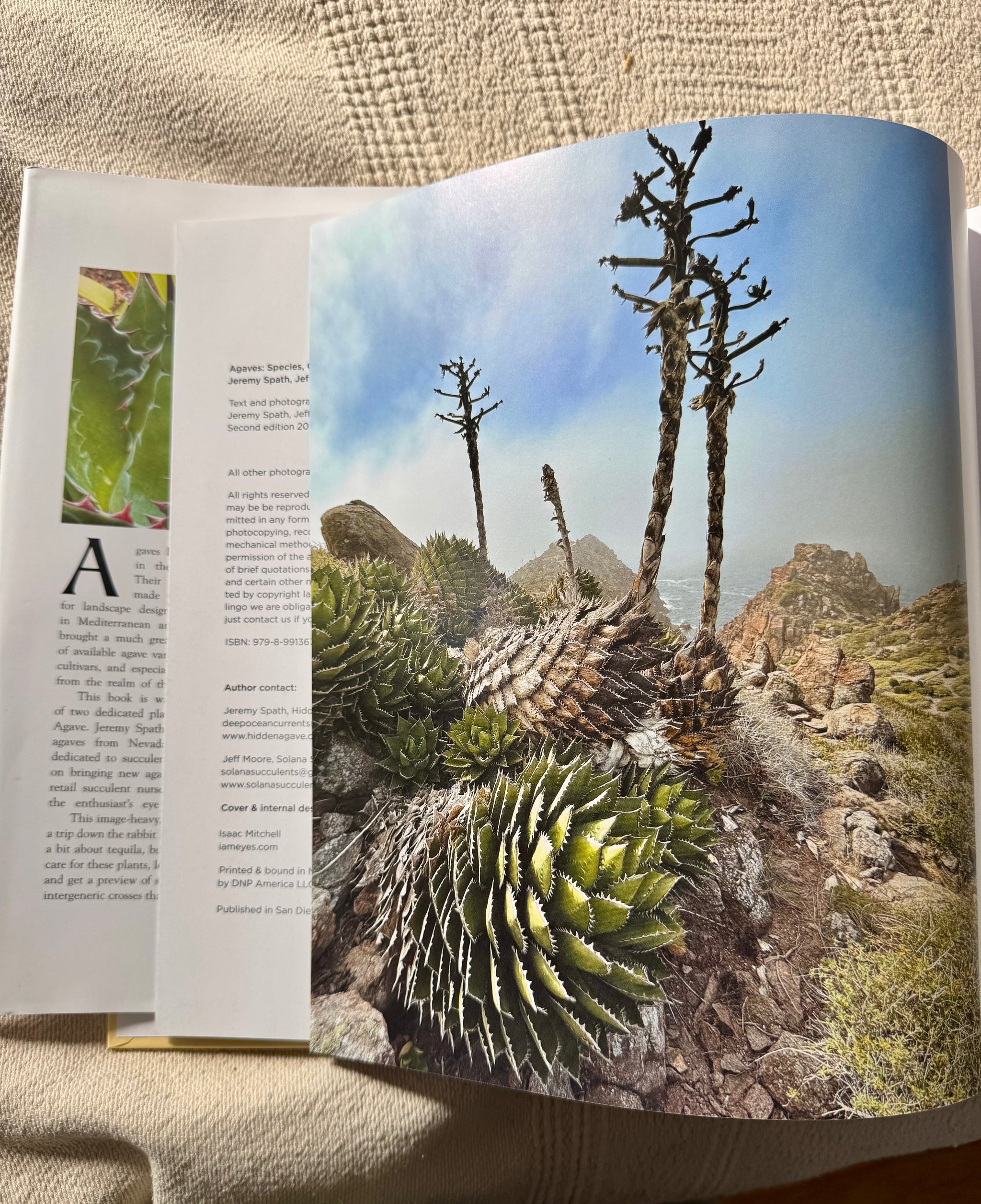 Agaves, species, cultivars, & hybrids 2nd Ed. – Hidden Agave Agaves, species, cultivars, & hybrids 2nd Ed. – Hidden Agave