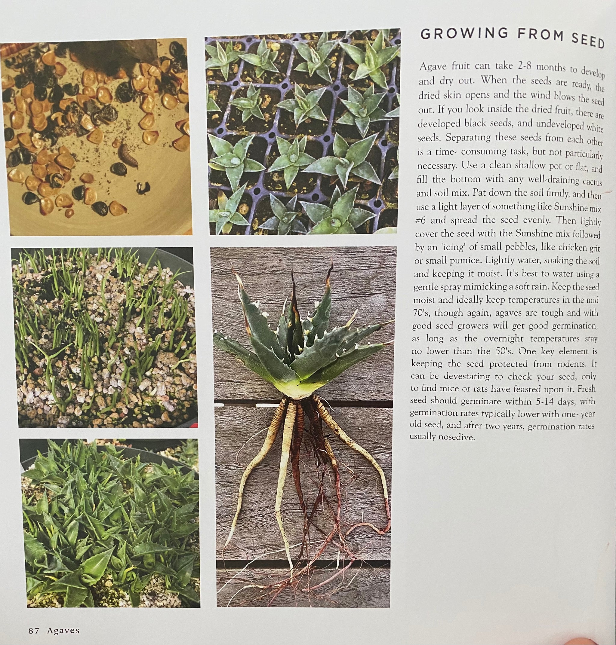 C923181F-2942-4C2A-BC18-